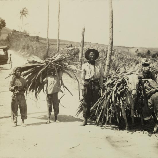 Arbejdere på en dansk koloni.