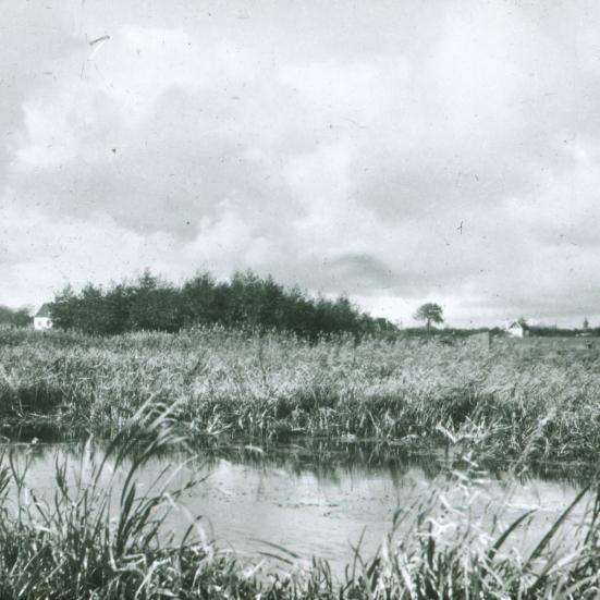 Gammelt fotografi af Vangede Mose ved København fra Nationalmuseets arkiv.