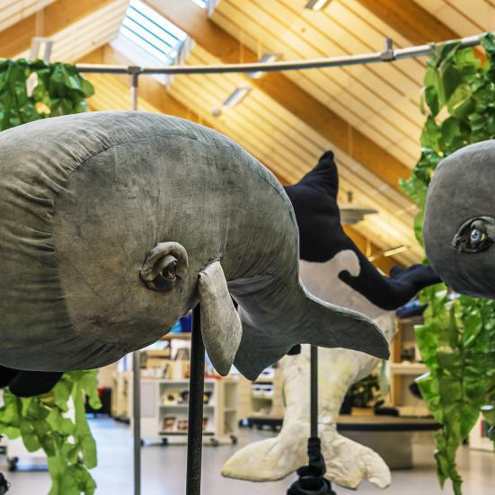 Hvaler fra udstillingen "Kaskelotternes Sang".