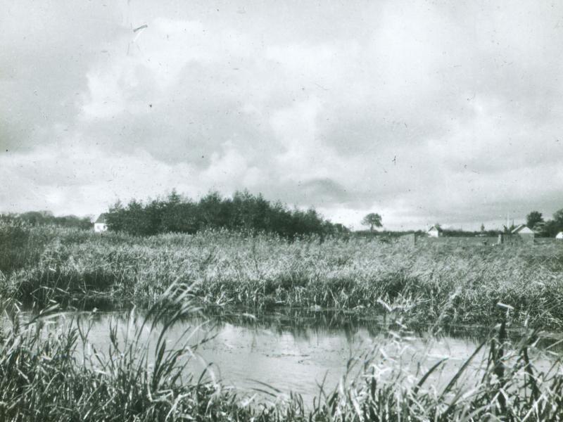 Gammelt fotografi af Vangede Mose ved København fra Nationalmuseets arkiv.