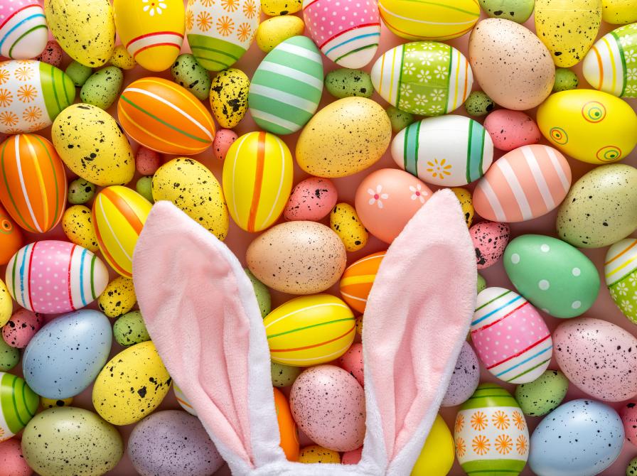 Påskeæg og hvide kaninører.