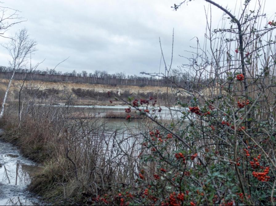 Fotografi fra Solrød Fotoklub.